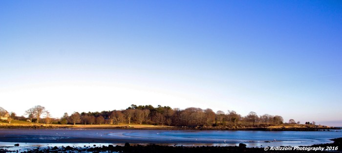 February 22, 2016 Ebb Tide 2