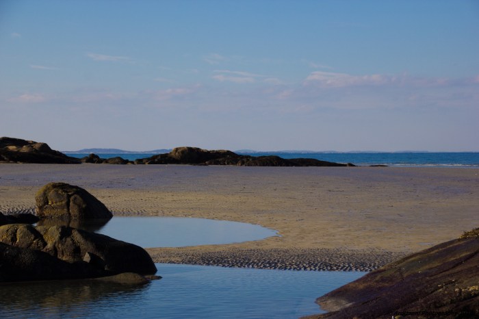 February 7, 2016 Wingaersheek Beach