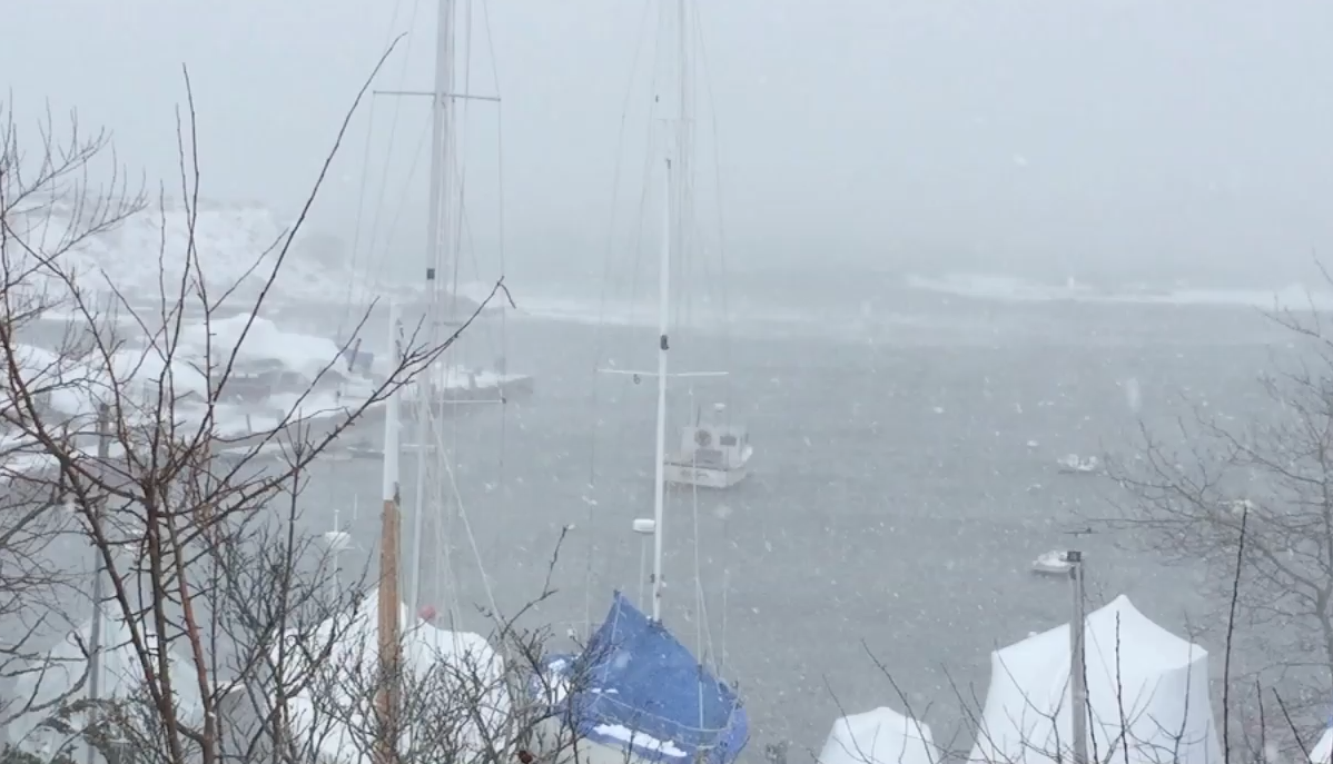 Screen Shot 2016-02-08 at 4.15.55 PM