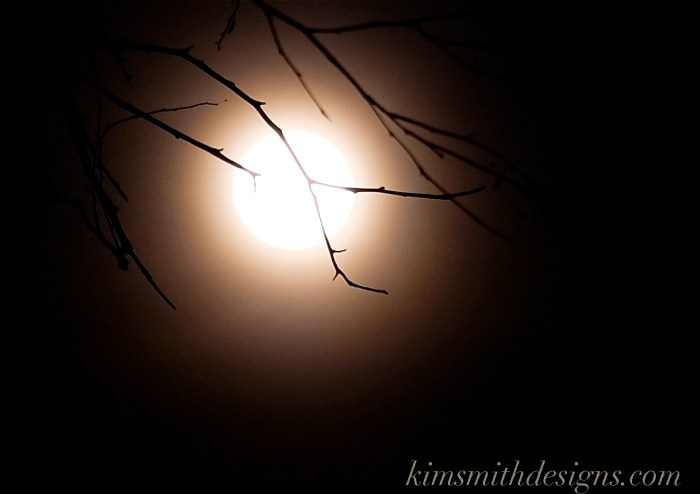 Snow Moon February Niles Pond Birch Tree kimsmithdesigns.com 2016 -8