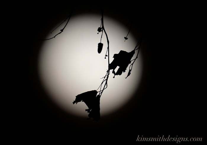 Snow Moon February Niles Pond Birch Tree kimsmithdesigns.com 2016