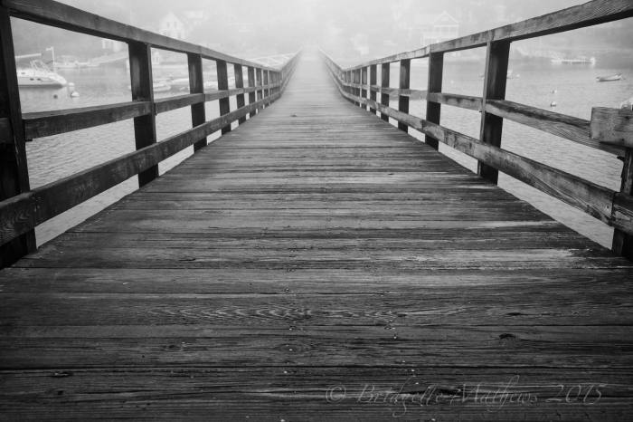 11907848_10205069003628067_9109005896612654958_o