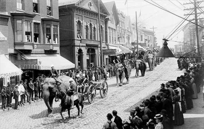 circus parade, main street from post office square.  probably 1892.