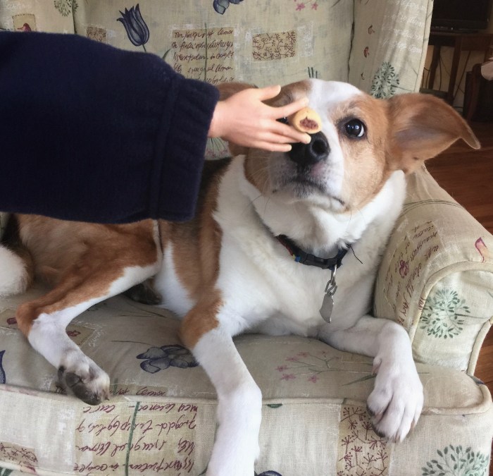 Beware of tiny hands.