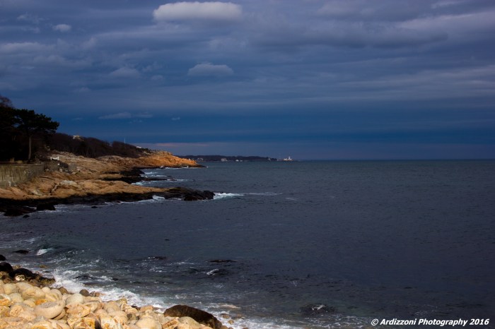 March 1, 2016 End of a beautiful day on Shore Road