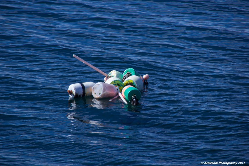 March 13, 2016 Buoys off the Breakwater