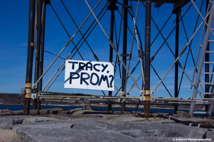 March 13, 2016 Tracy did you say yes