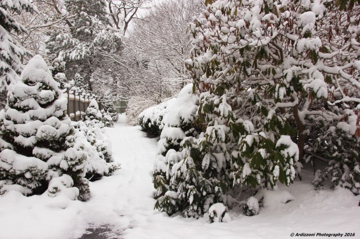 March 21, 2016 snow path