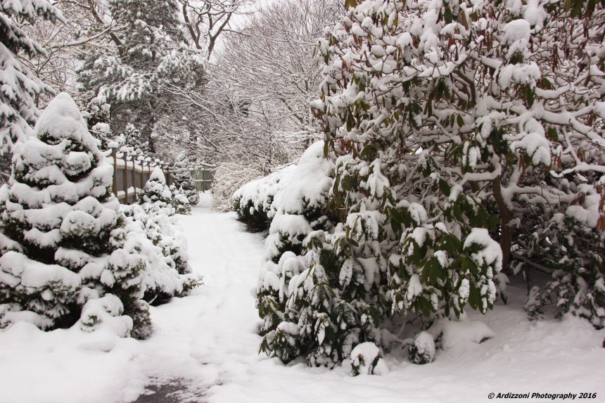 Spring Snow – Good Morning Gloucester
