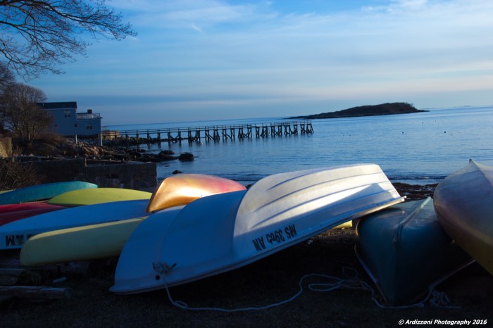 March 3, 2016 sun reflecting on the kayaks