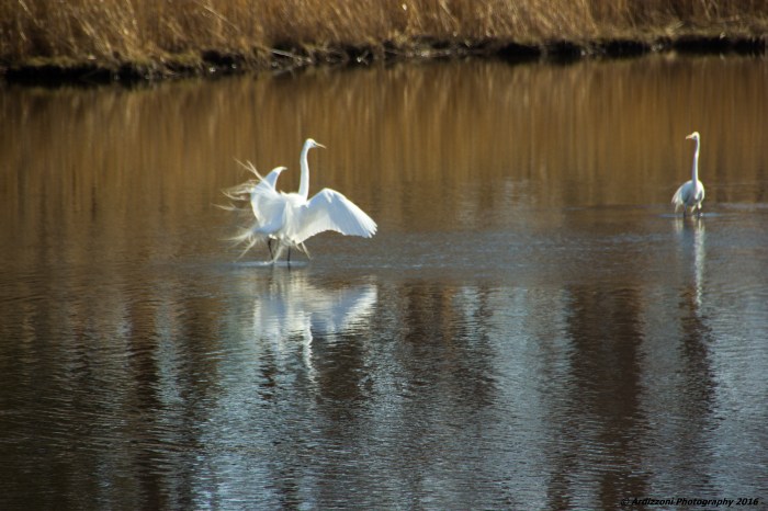 March 30, 2016 taking flight