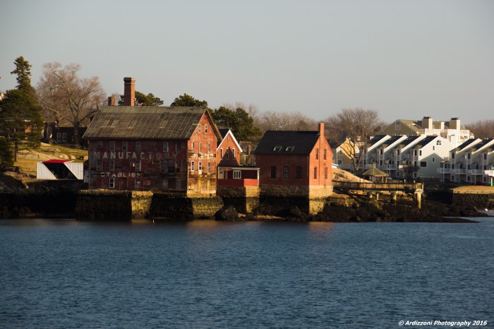 March 8, 2016 Ocean Alliance from the Fort