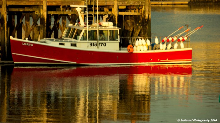 March 9, 2016 sunny reflections