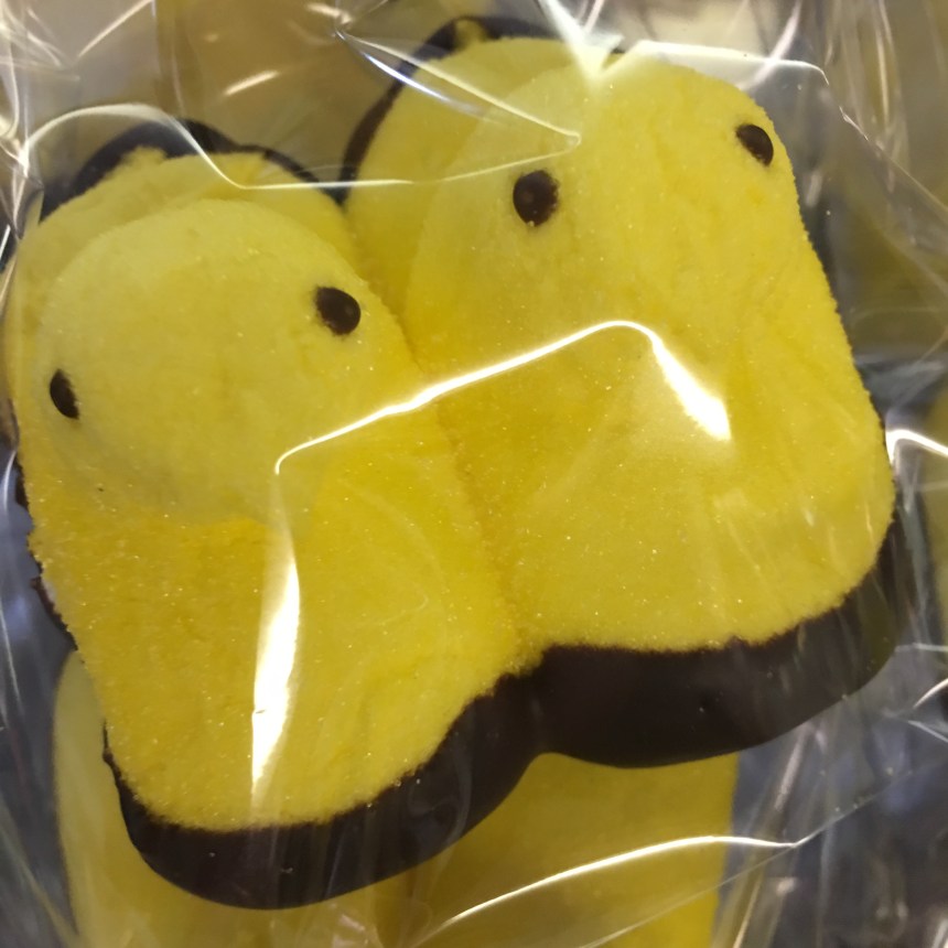 Nichols Candy House -2 Kim Smith 2016