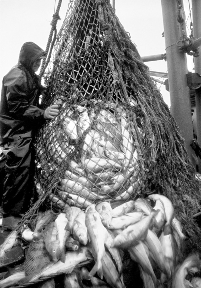 nubar alexanian book