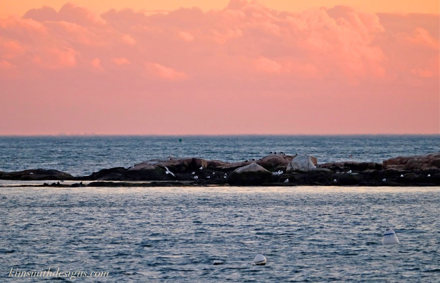 Ten Pound Island Gloucester -8kimsmithdesigns.com