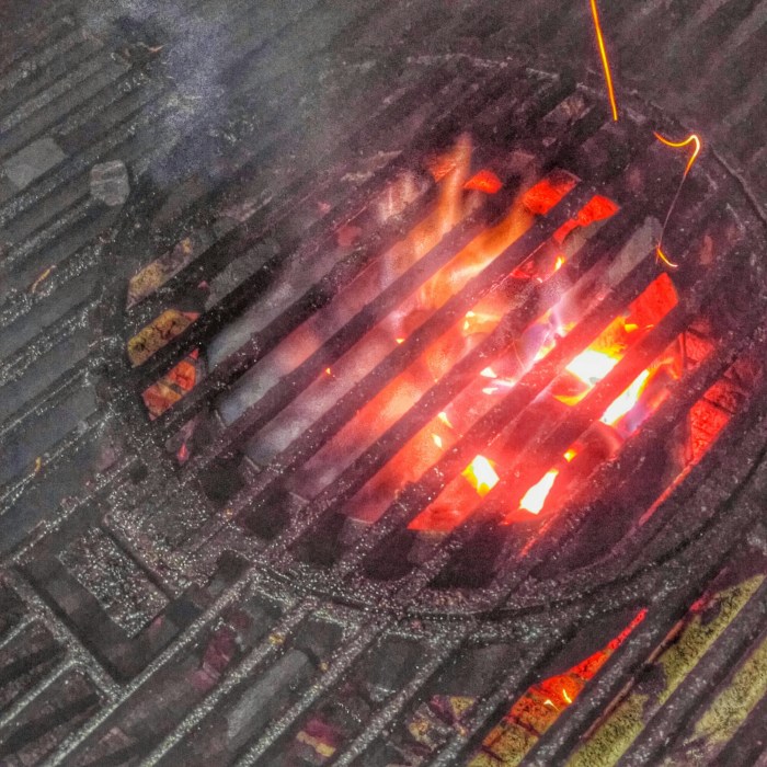 wp-1457052861984 image