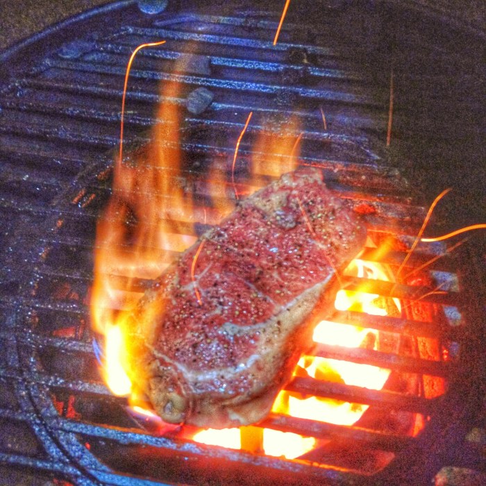 wp-1457053016914 image