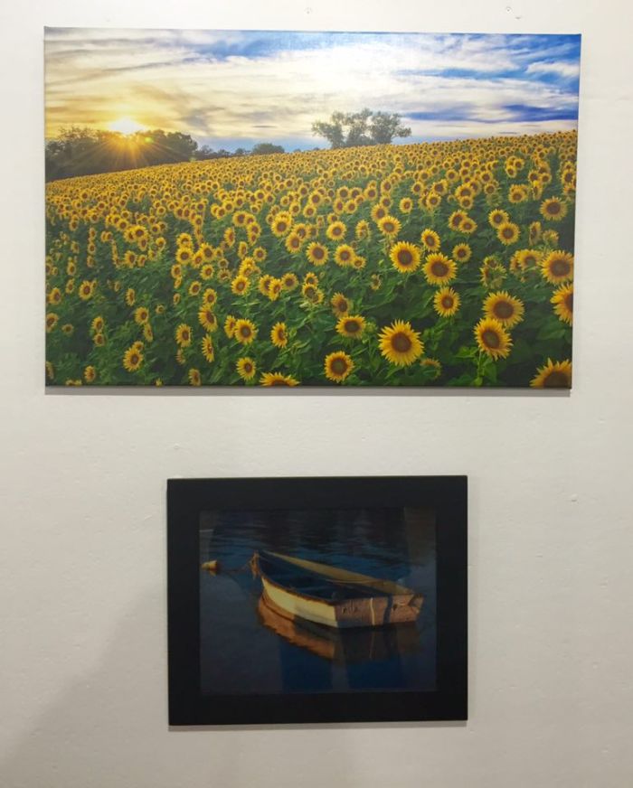 12966789_10206383147080832_66559881_n