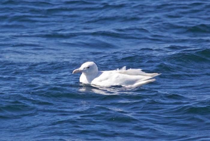 13072895_1325663324117292_4720881406728456174_o