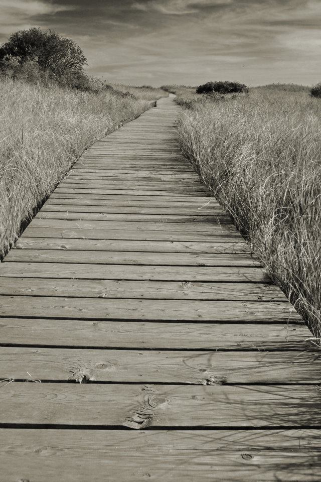 308838_2106398742869_1963220528_n