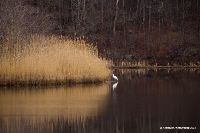 April 13, 2016 hanging out at Clark Pond