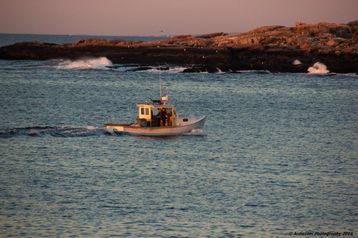 April 20, 2016 beautiful morning