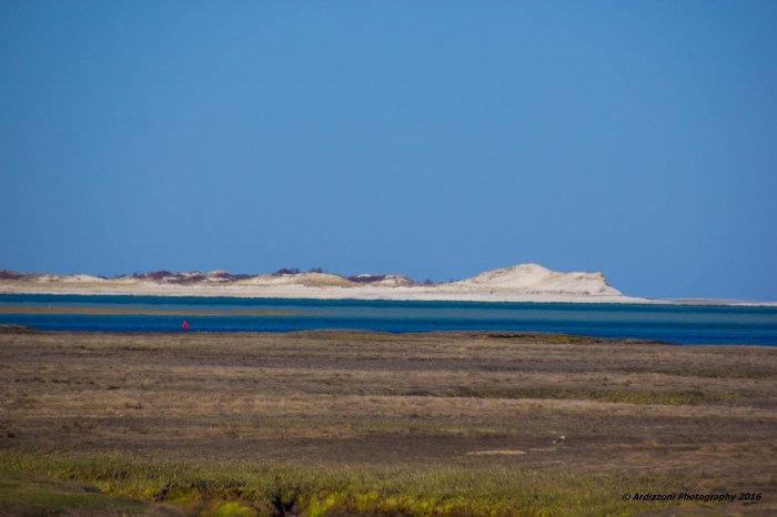 April 28, 2016 another spot to photograph