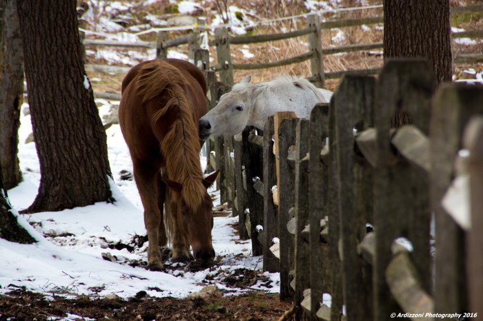 April 6, 2016 Is love in the air