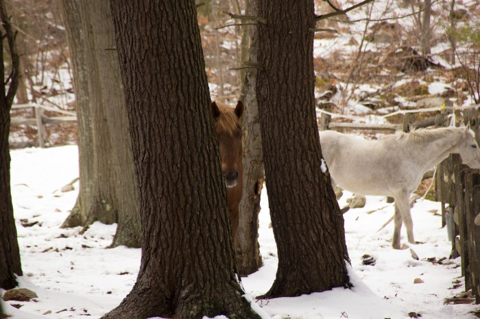 April 6, 2016 visiting my friends