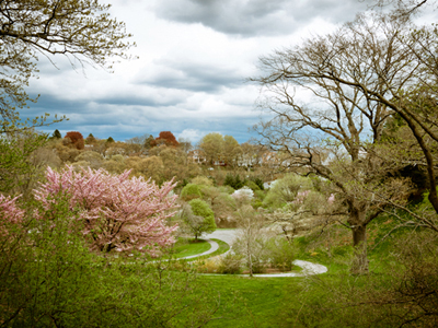 Arnold-Arboretum-5.Cierra-Design.400