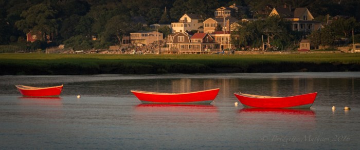 BLM_7655-Edit-Edit-Edit-Edit