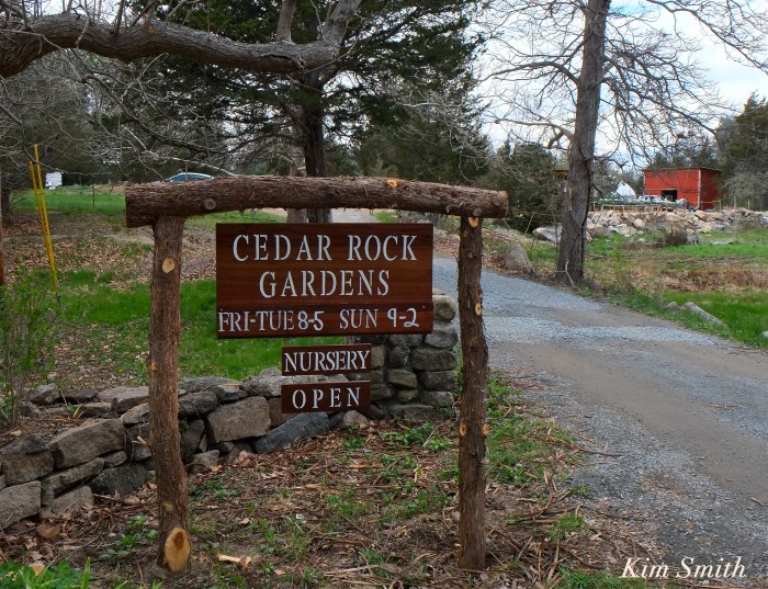 Cedar Rock Gardens Sign Kim Smith