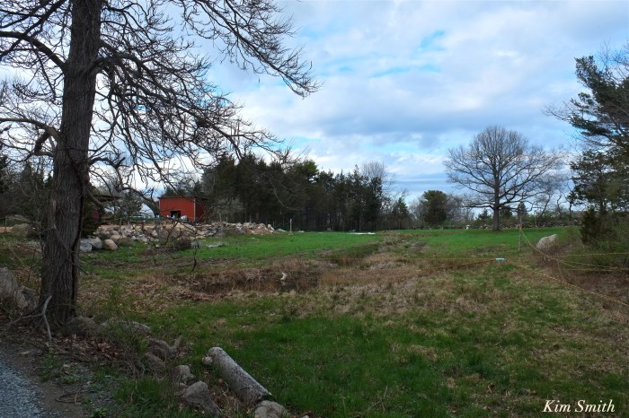 Flower Field Cedar Rock Gardens Kim Smith