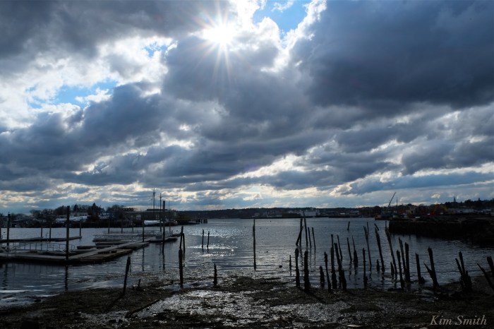 GLOUCESTER HARBOR KIM SMITH