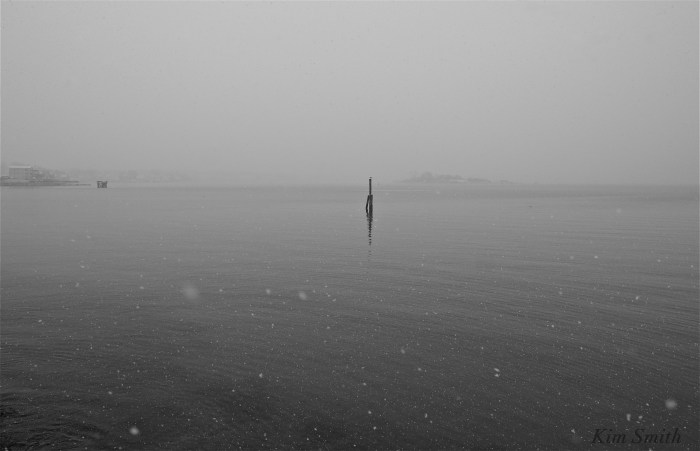 Gloucester Harbor snowy day -3 Kim Smith 2016. JPG