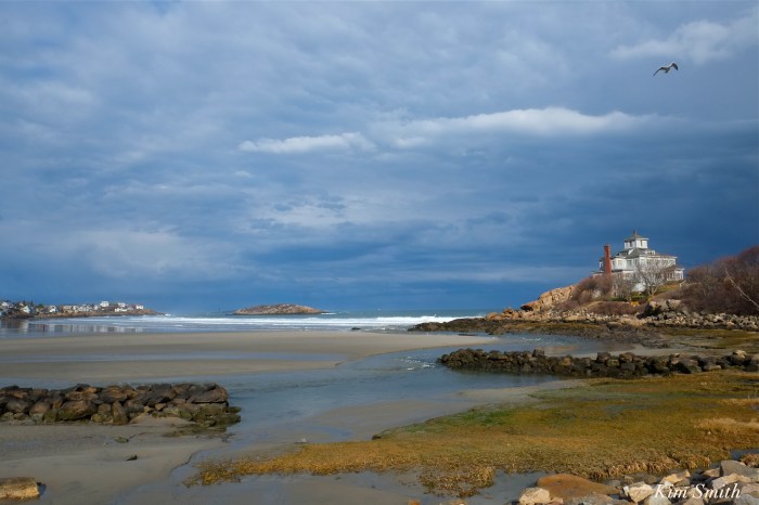 Good Harbor beach Kim Smith