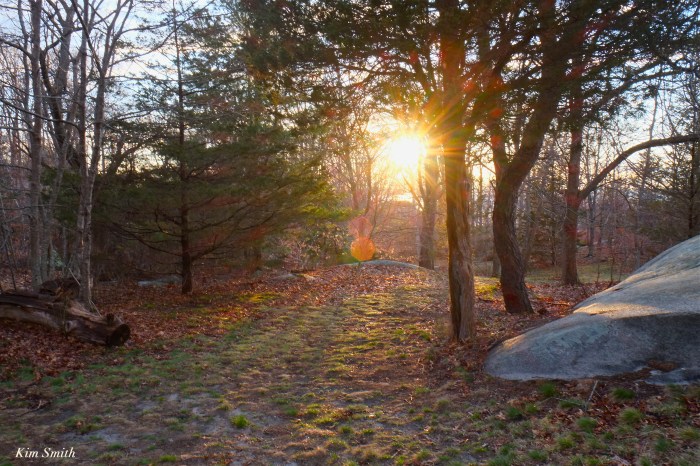 Lighthouse Beach Meadow Sunset Annisquam -3 Kim Smith