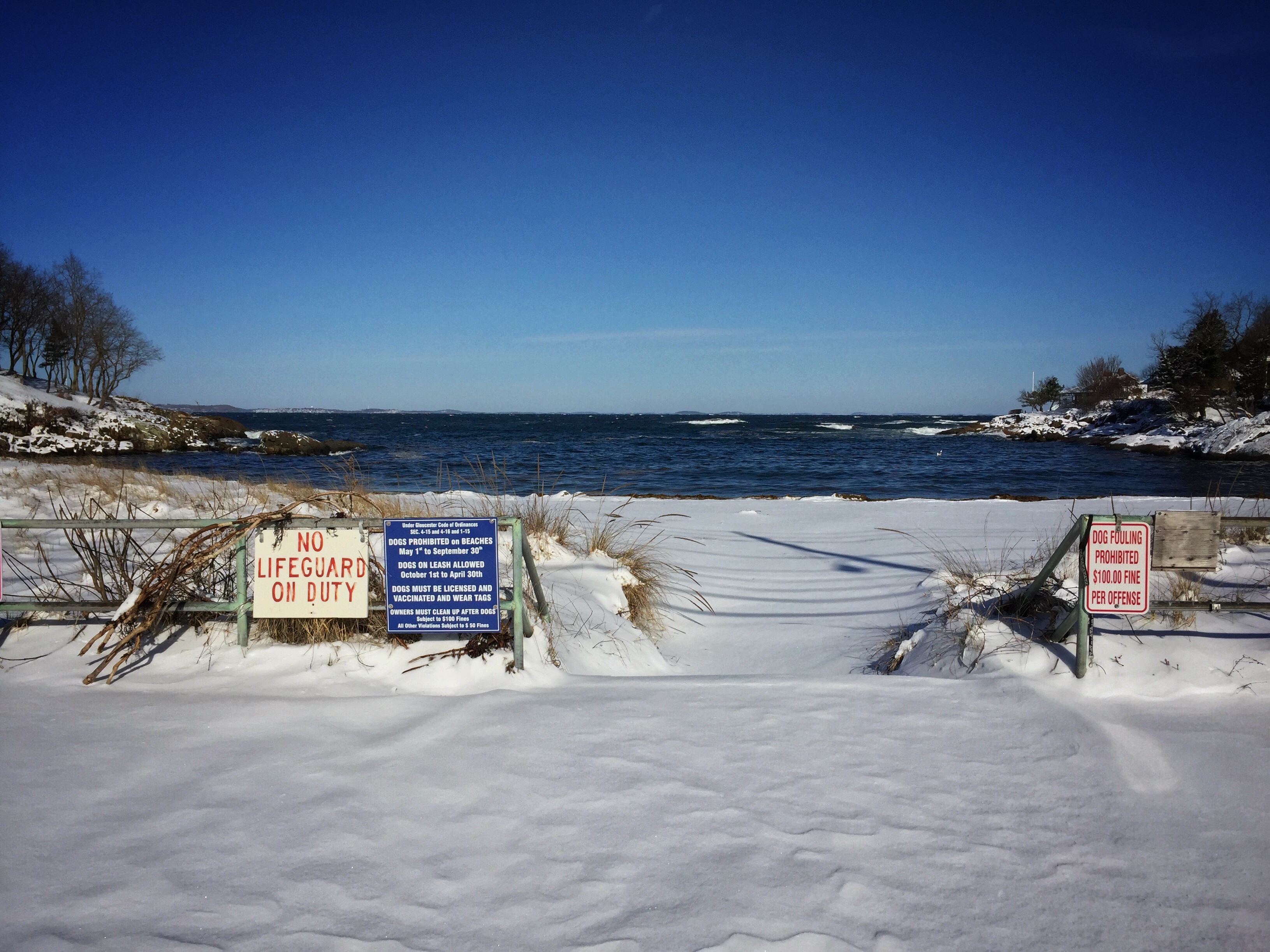 Photo Apr 05, 8 58 25 AM