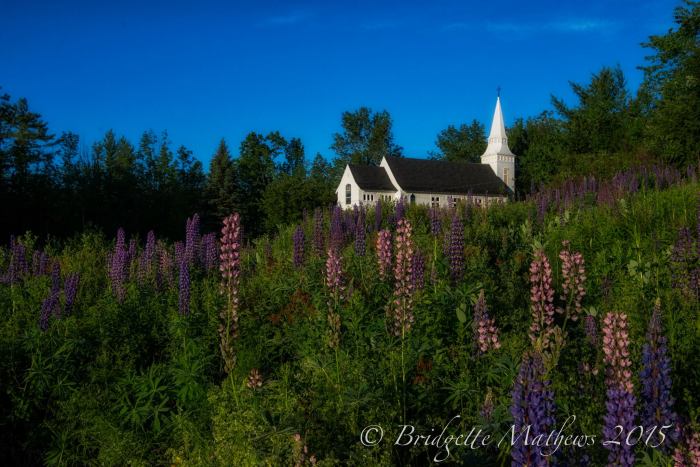 906019_10204694093415546_4230195499564792970_o