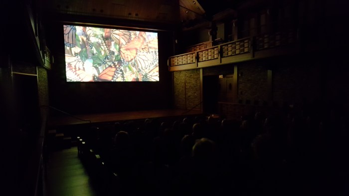 BEAUTYWINGRSFF2016SCREENING (2)