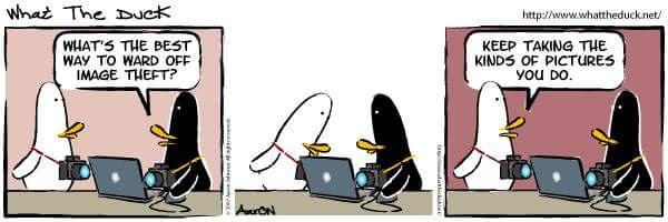 FB_IMG_1463869506930