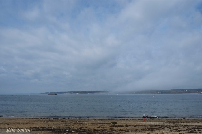 Gloucester Harbor Beach Combers c Kim Smith