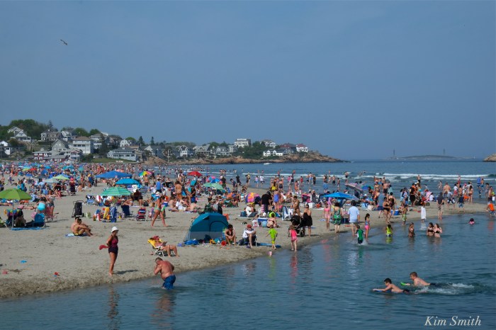 Good Harbor Beach summer day copyright Kim Smith