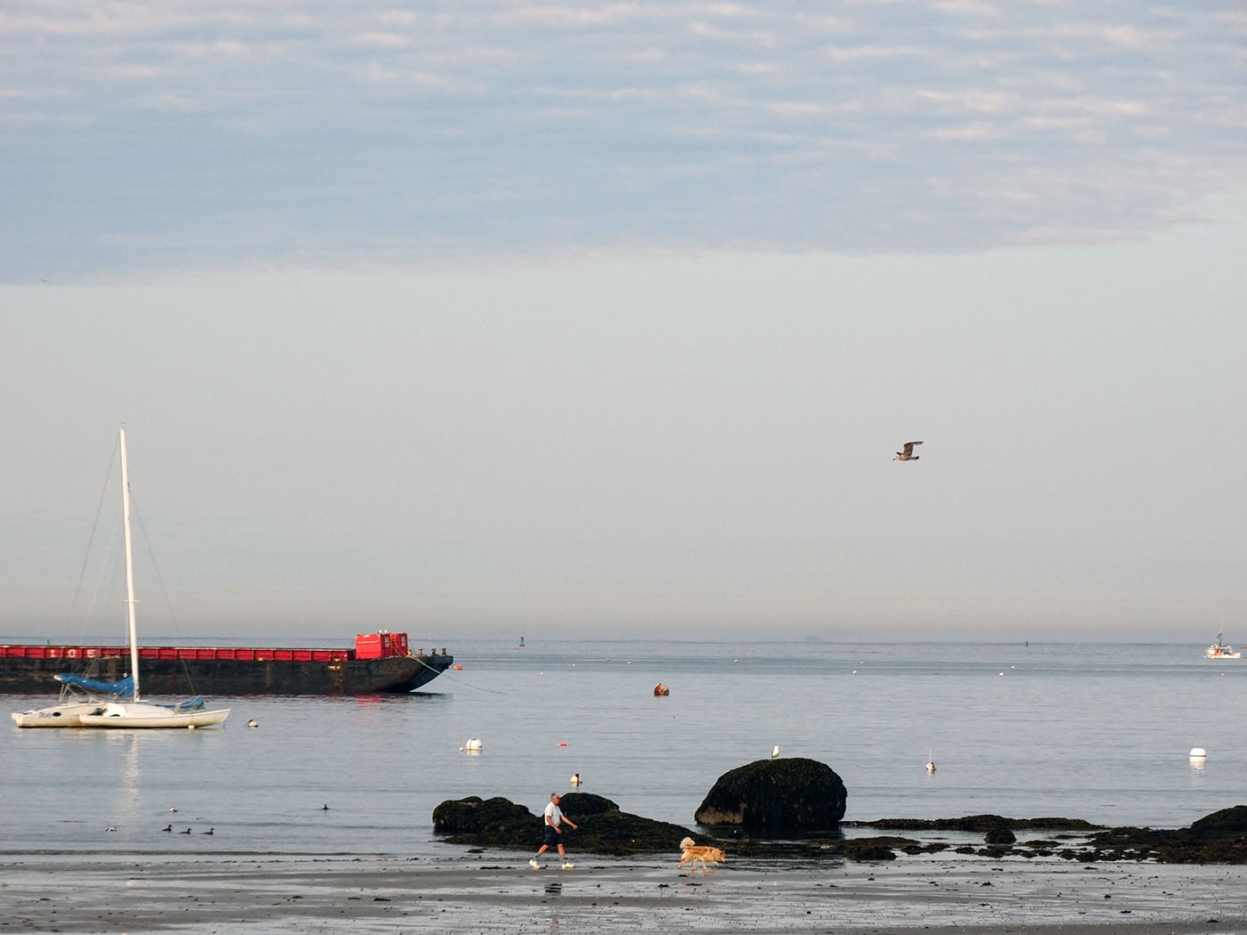 low tide walk