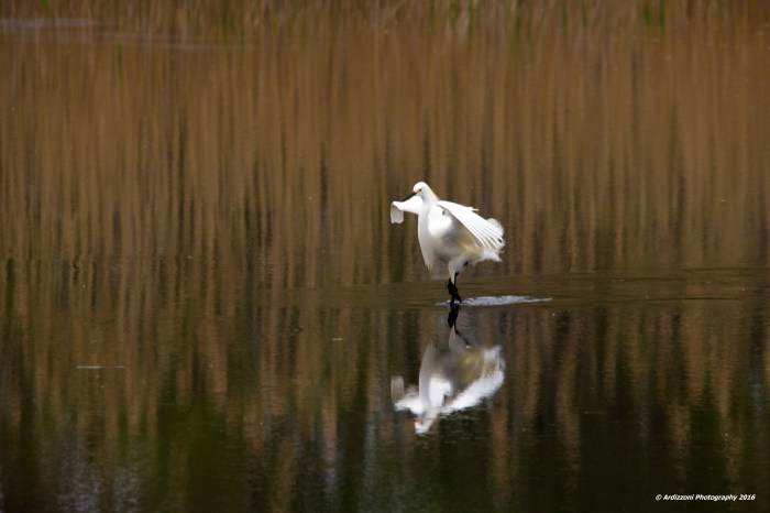 May 21, 2016 walking on water