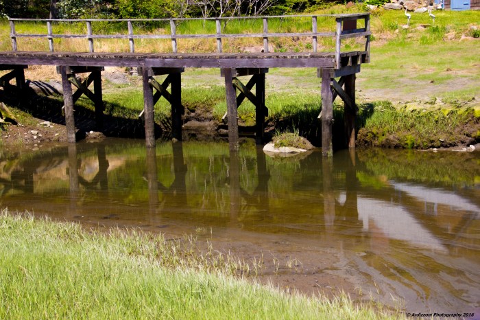 May 23, 2016 low tide on Little River