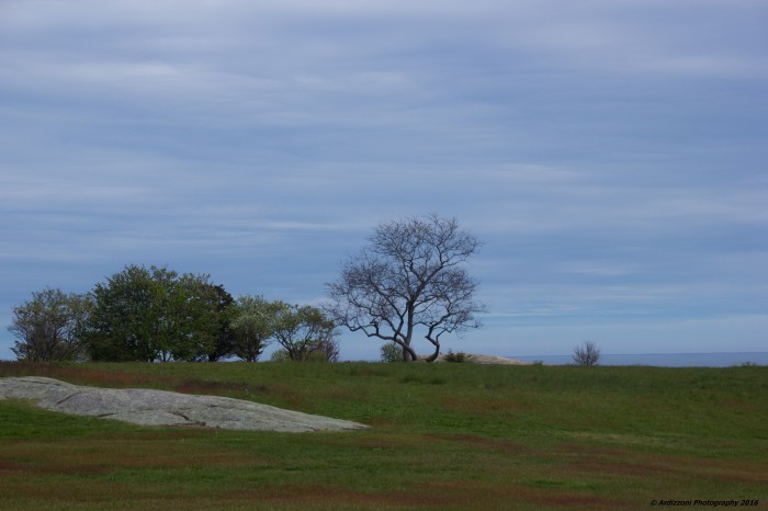 May 25, 2016 0Peaceful Ocean Lawn