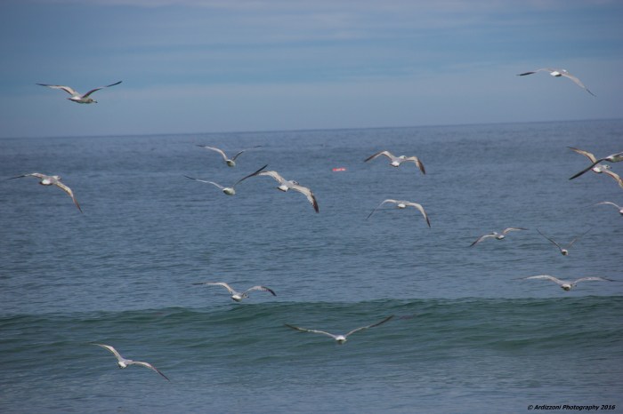 May 25, 2016 Good food