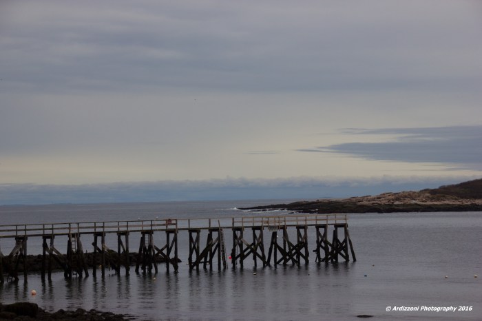 May 3, 2016 Magnolia Pier after the rain